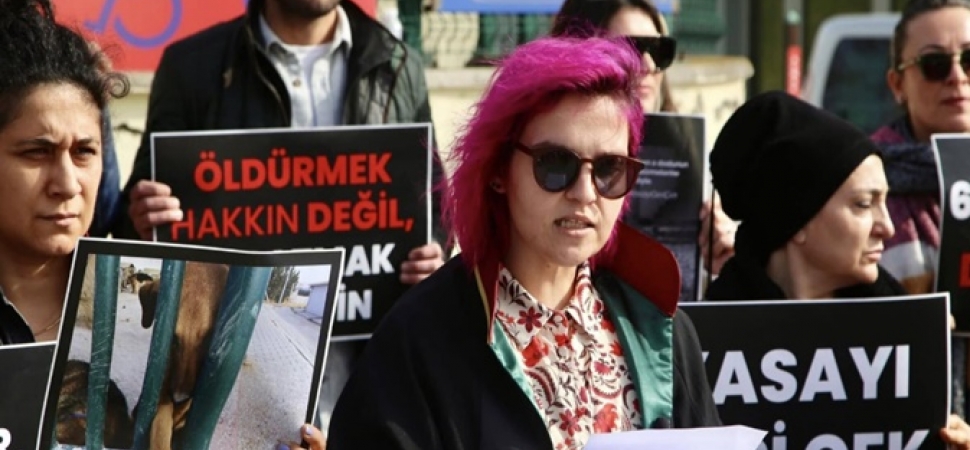 Sakarya Barosu Hayvan Hakları Merkezi'nden AYM'ye çağrı