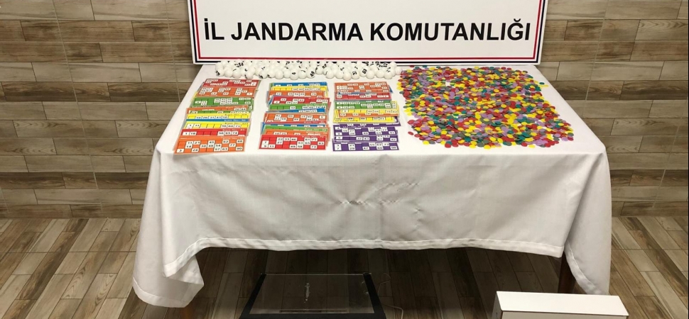 Karasu'da eve kumar baskını