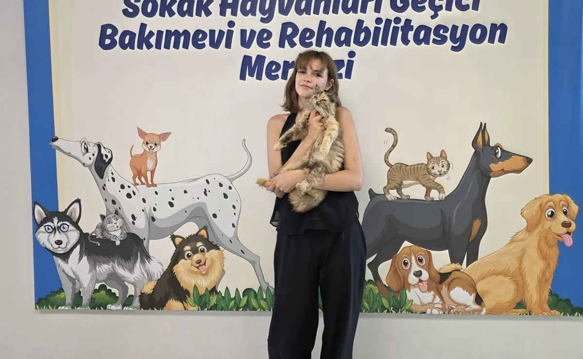 Pati İzi, 700’ü aşkın patili dostu yeni yuvasına kavuşturdu